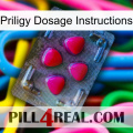 Priligy Dosage Instructions 13